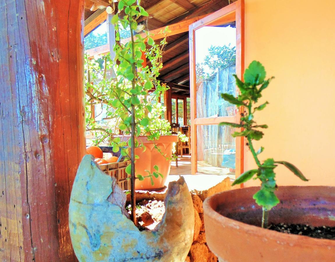 Agriturismo Calamosche Noto Exterior foto